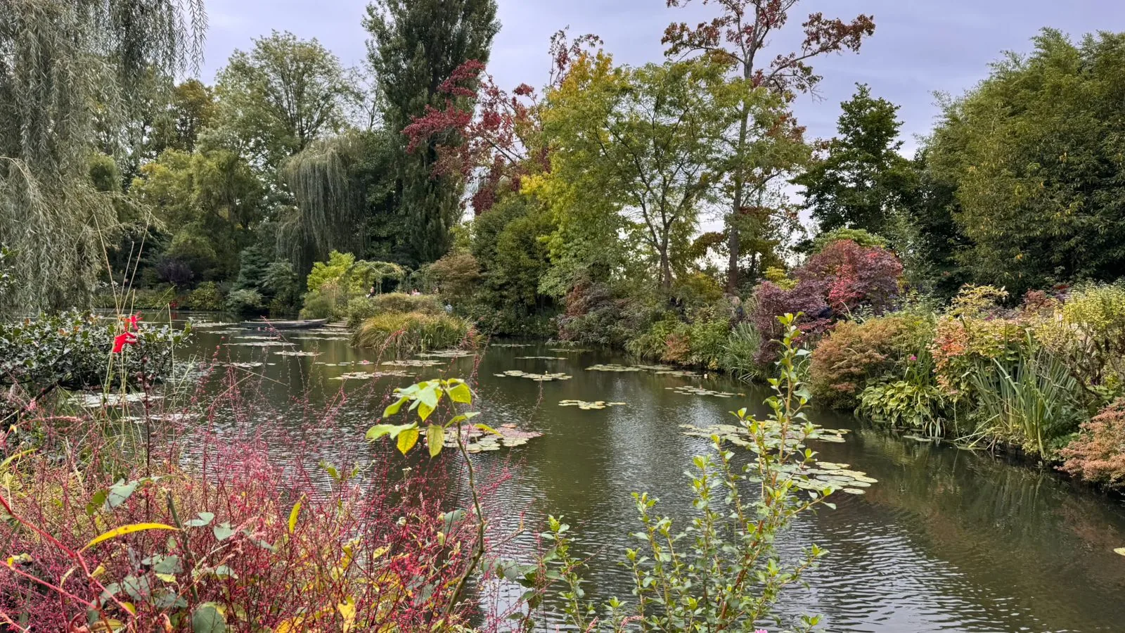 Panorâmica do jardim aquático de Claude Monet em Giverny