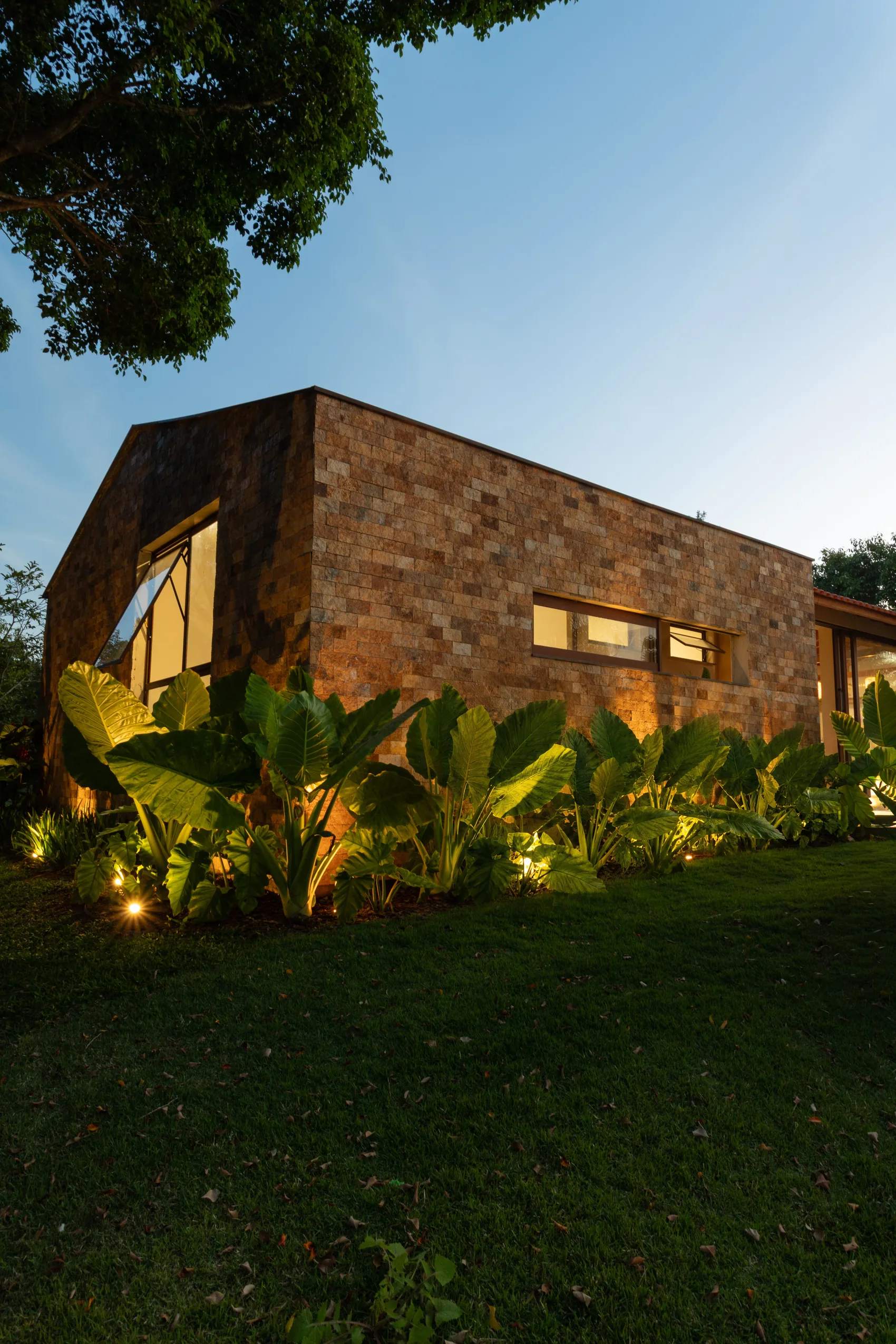 Fachada de pedra ao anoitecer com jardim de alocasias e iluminação cênica