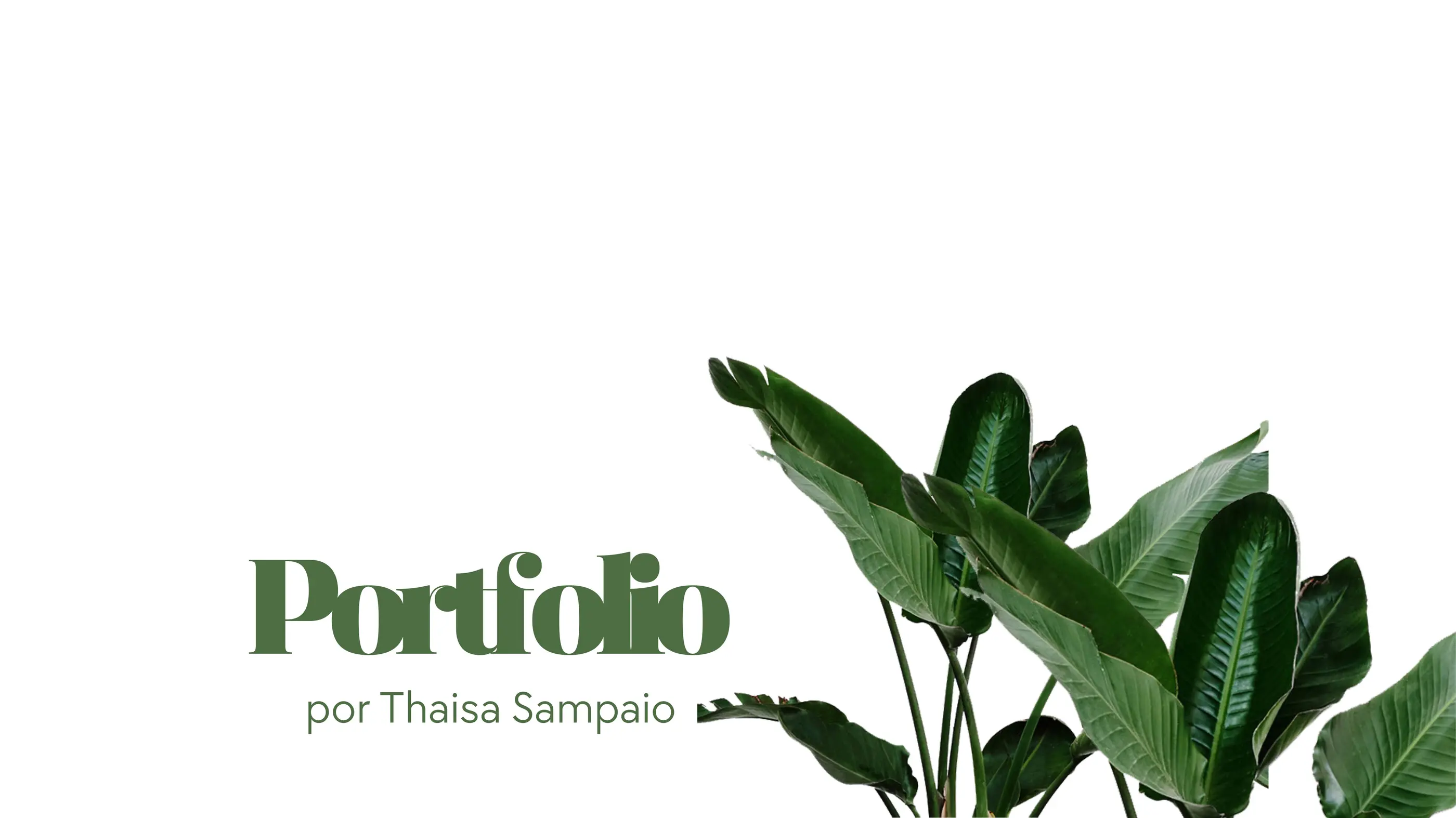 Página 1 do portfólio do Estúdio Natu