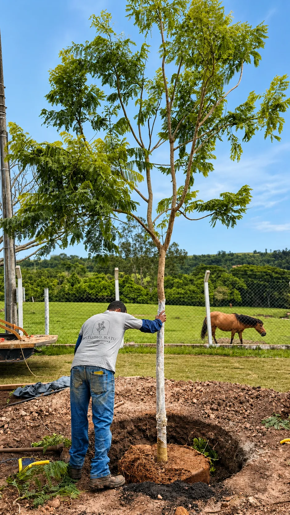 Equipe do Estúdio Natu plantando árvore de grande porte em propriedade rural
